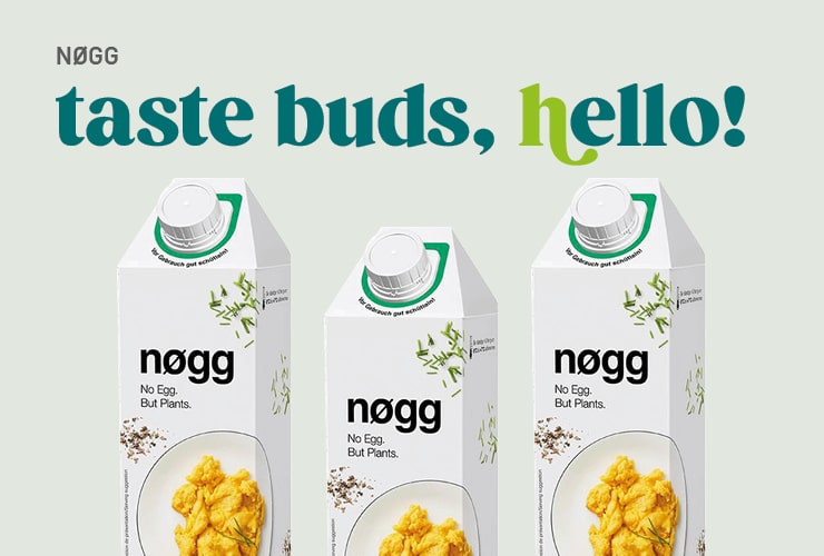 nøgg