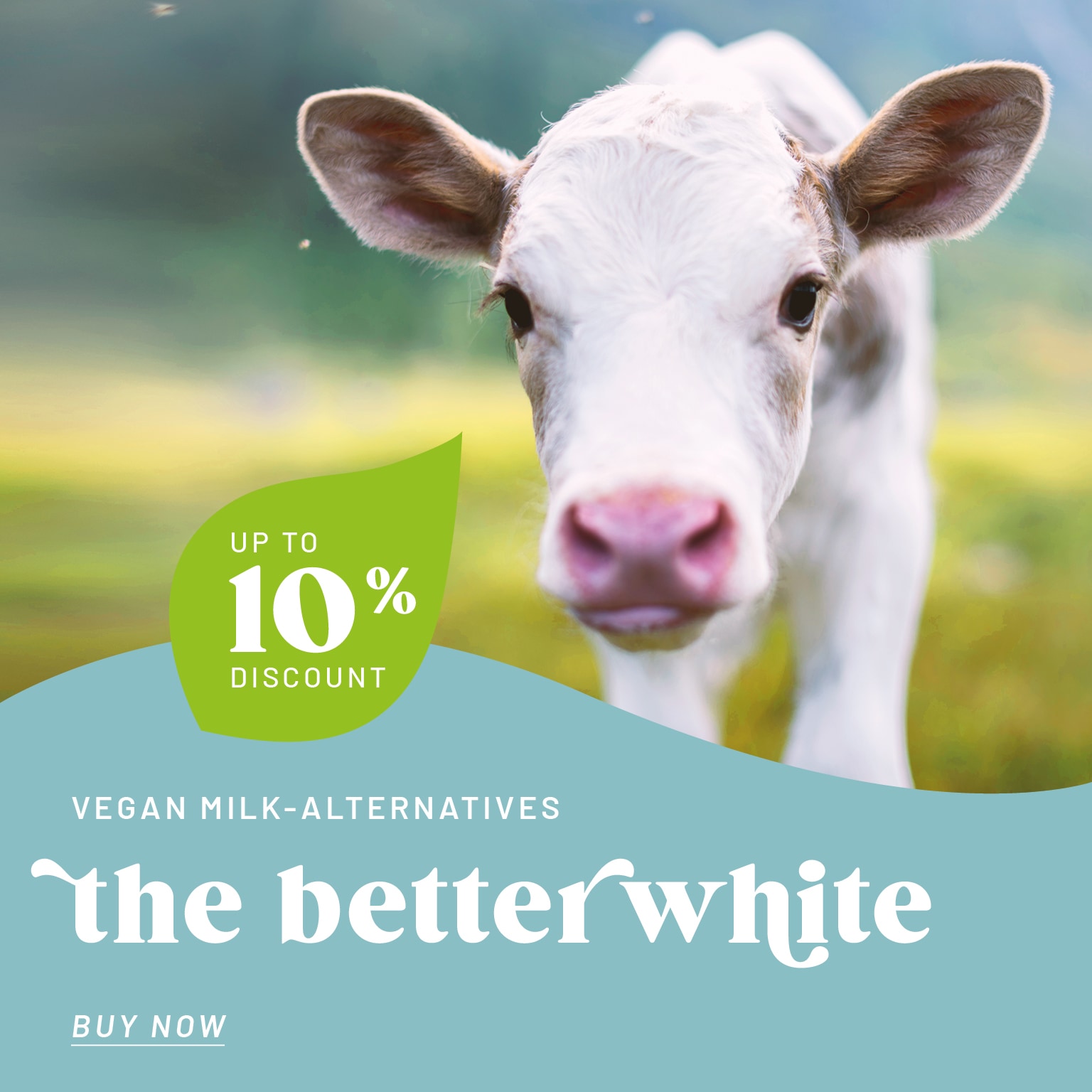 Order vegan milk-alternatives with up to 10% discount