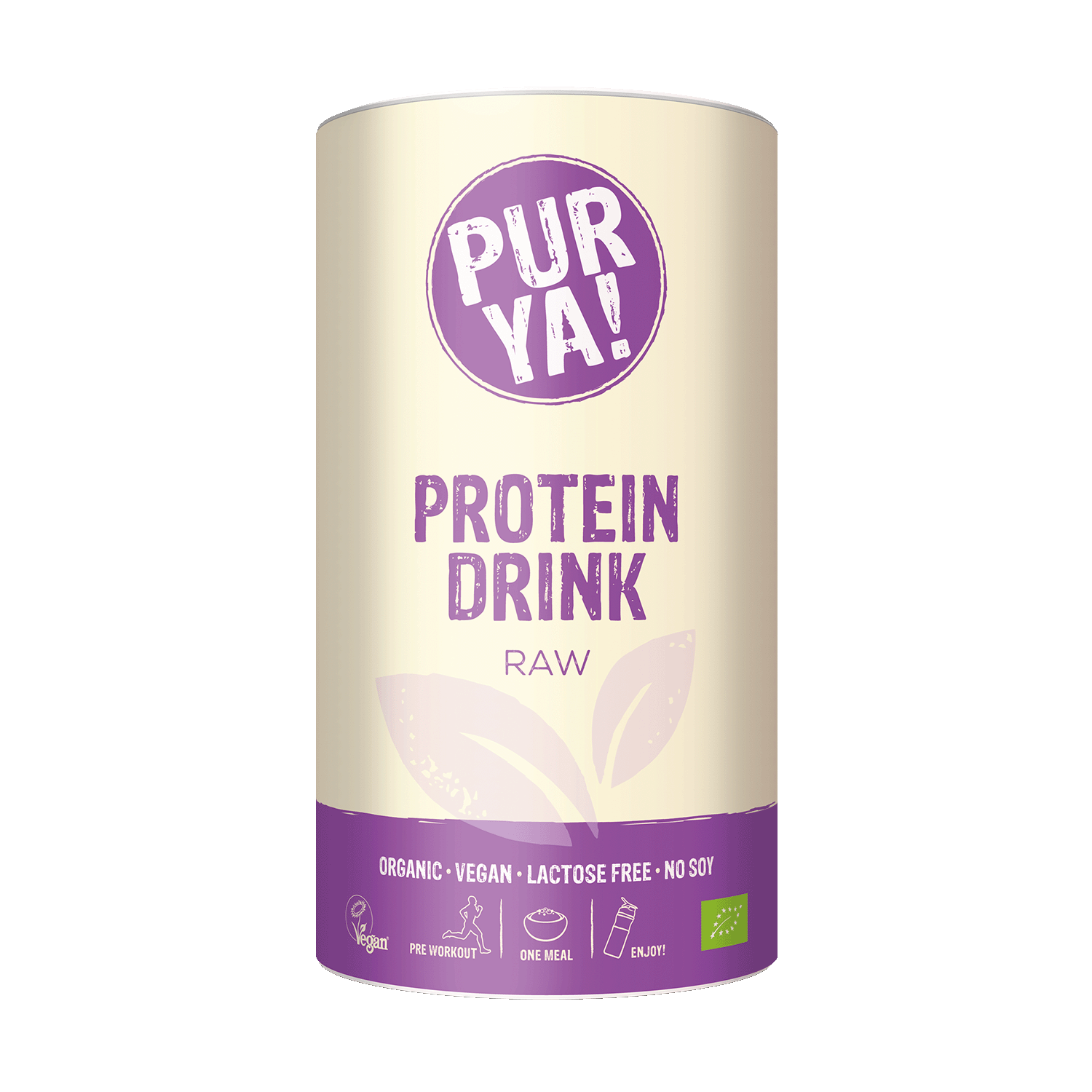 Vegan Protein Drink Raw, Organic, 550g